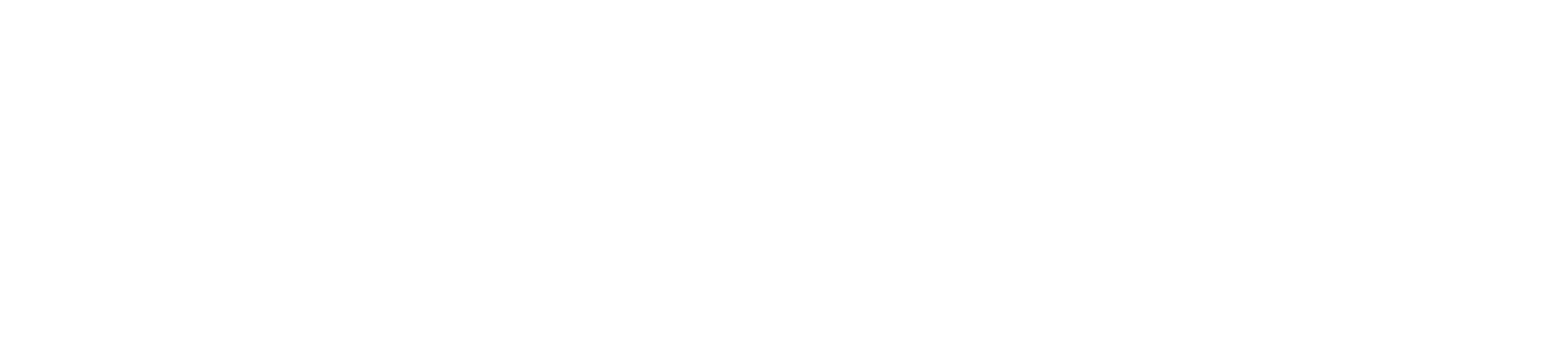 Color white logo - no background